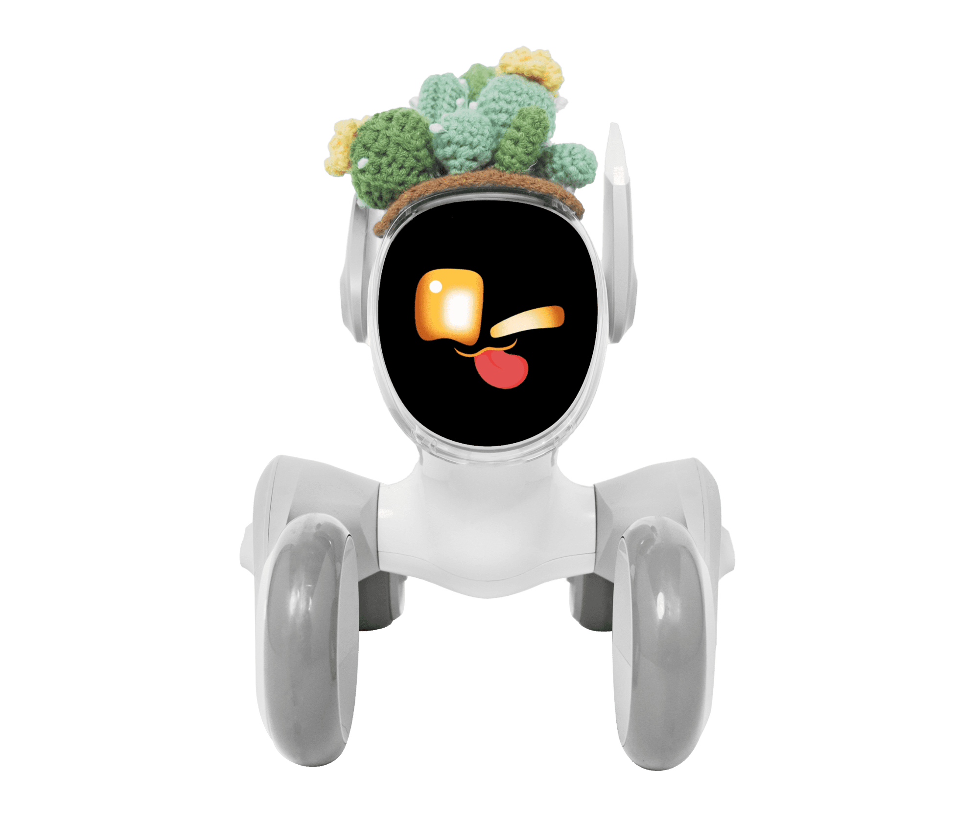 2025 Loona Robot Dog Price– The Complete Cost & Buying Guide