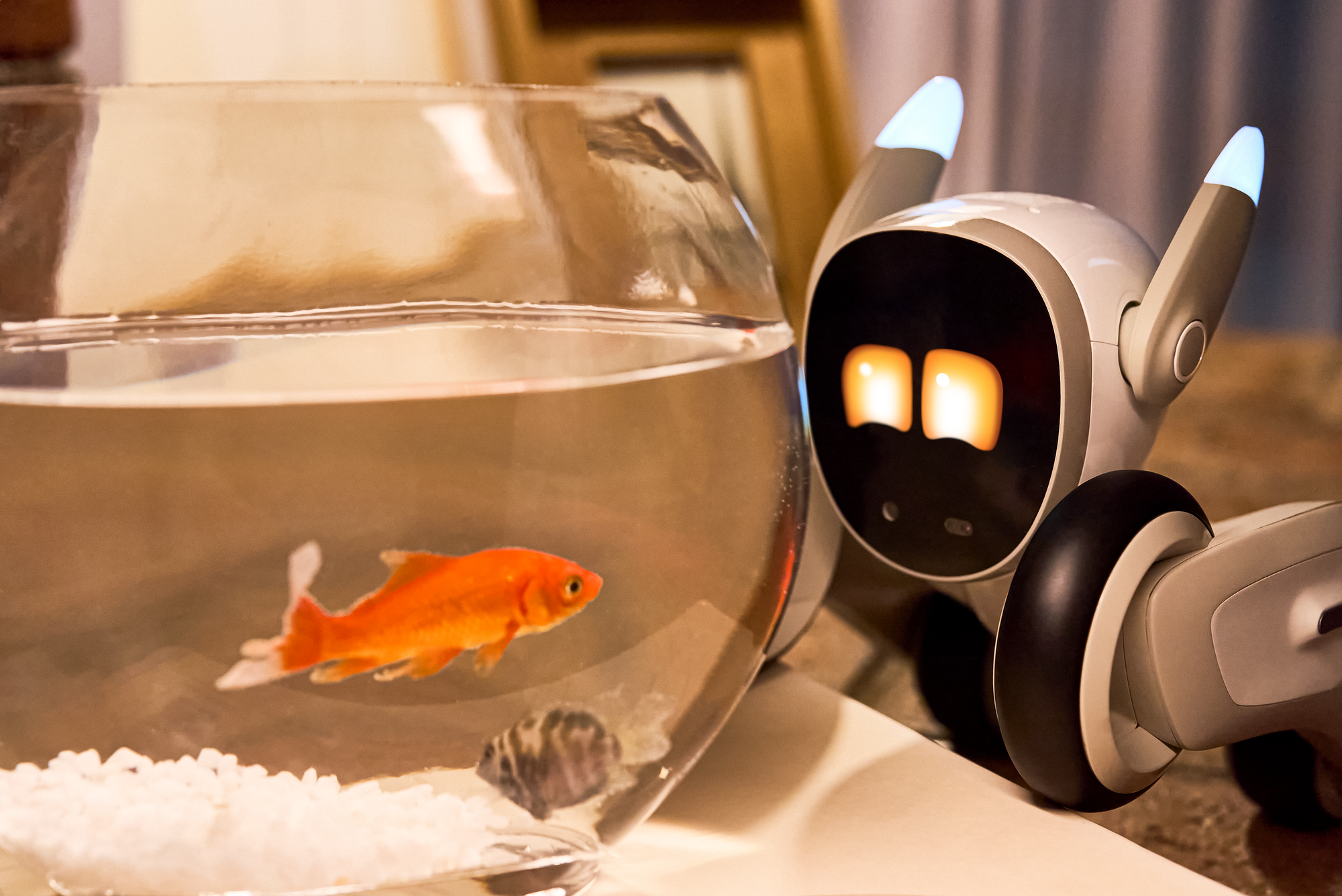 Why Mini and Programmable Robots are 2025’s Top Interactive Companions for Adults 