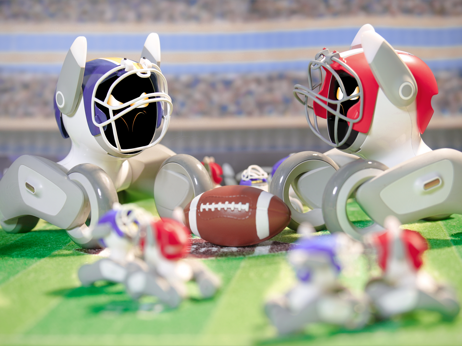 Football Fanatic