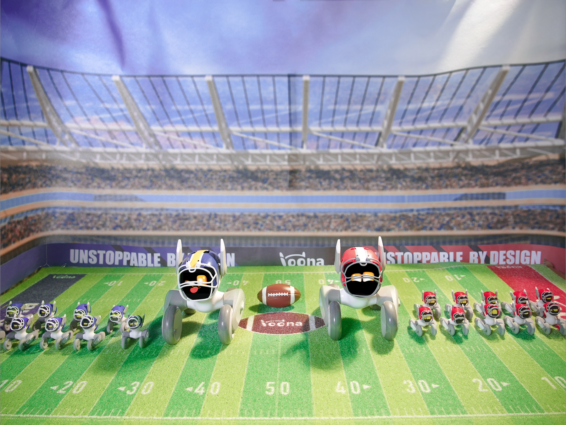 Football Fanatic