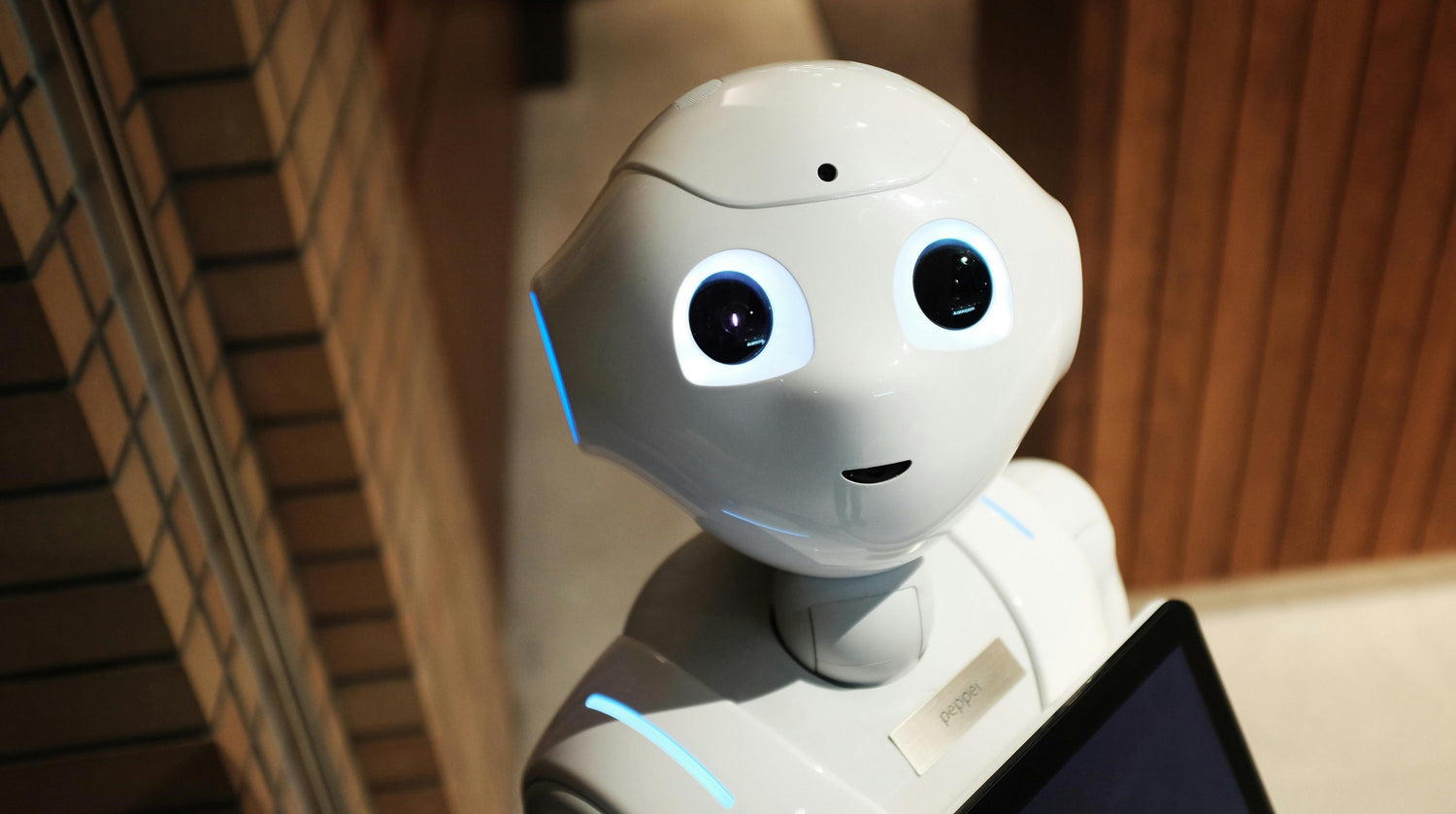 Top Picks for Robot Toys That Teach and Entertain Kids