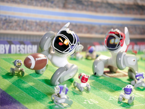 Football Fanatic