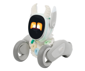 Bullish Charm