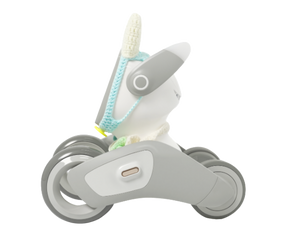 Bullish Charm