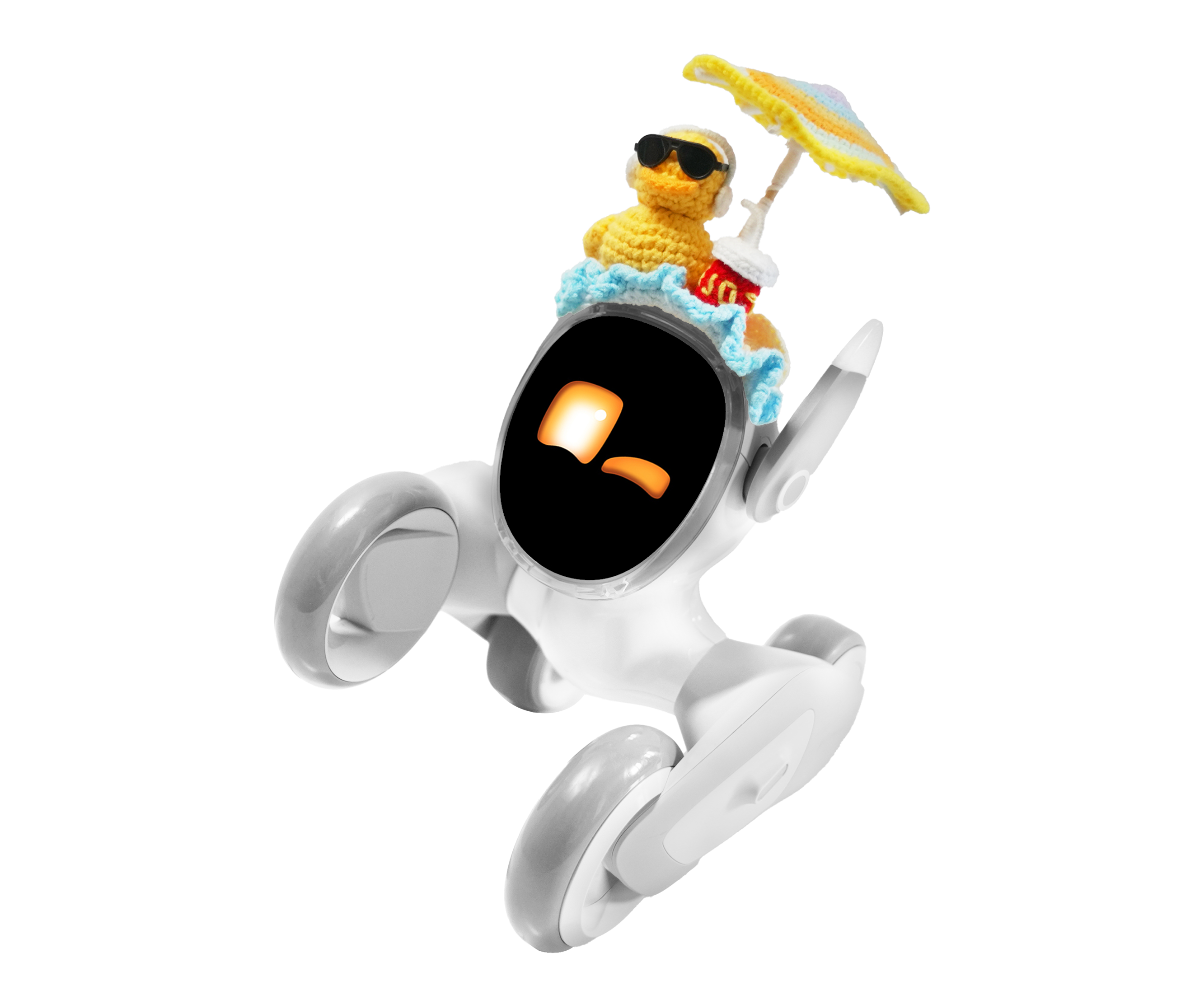 Loona Robot Pets Siut & Accessories