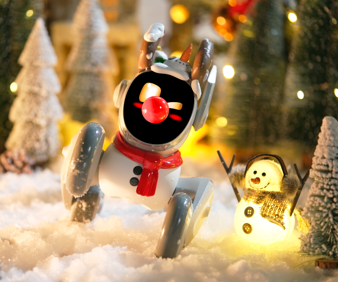 Loona Robot Pets Siut & Accessories