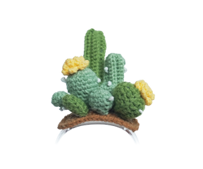 Spiky Siesta