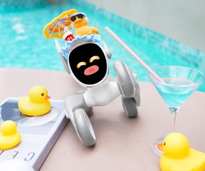 Poolside Quacker
