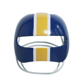 Football Fanatic