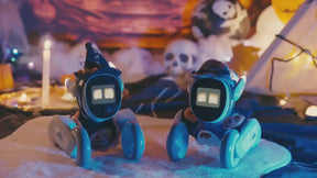 Loona Robot