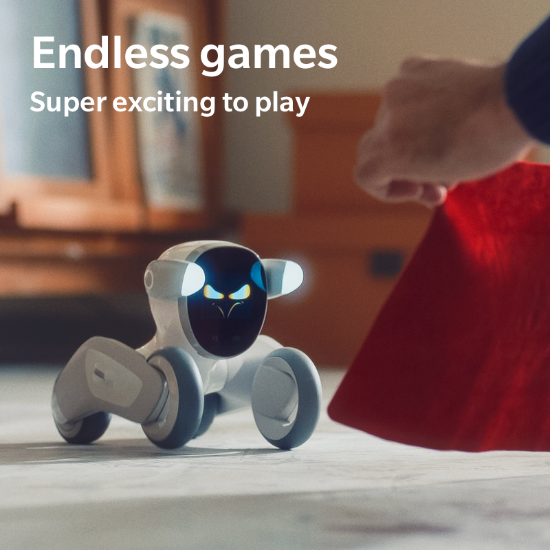 Domgy robot best sale price