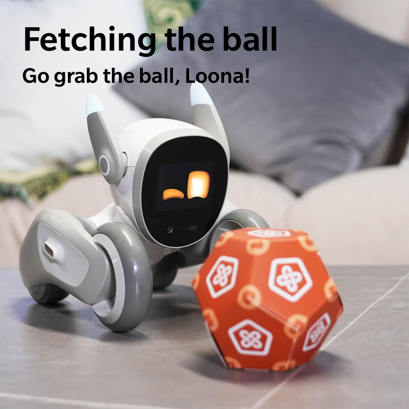 Loona Smart Robot